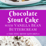 This decadent chocolate stout cake with fluffy vanilla bean buttercream is a chocolate-lover’s (and beer-lover’s) dream! It's a delicious St. Patrick's Day dessert recipe via itsybitsykitchen.com #chocolatecake #stpatricksday #layercake