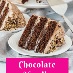 Pinterest image for chocolate Nutella cake with text overlay