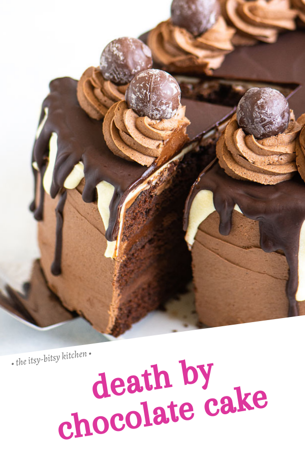 Death by Chocolate Cake - The Itsy-Bitsy Kitchen